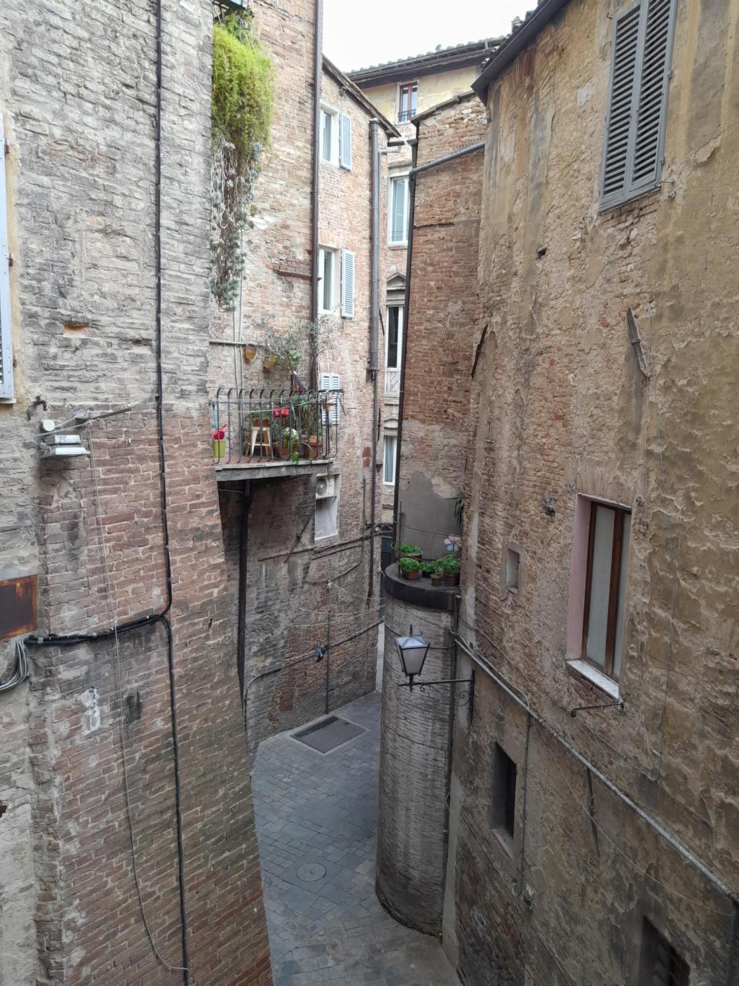B&B Il Corso Siena Luaran gambar